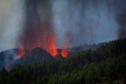 تصاویری از آتش‌فشانی که قناری را سوزاند | مسئولان