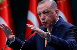 اردوغان: ترکیه قدرت میزبانی از پناهجویان افغان را