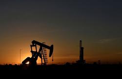 قیمت نفت در شوک بهبود ذخایر نفت آمریکا