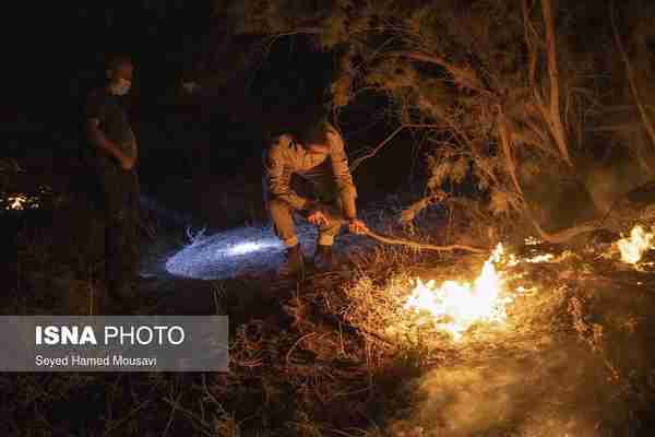  آتش سوزی در جنگل‌های کرخه و سایت گوزن زرد ایرانی