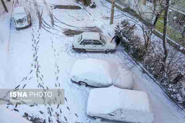  همدانِ برفی  ◾ استان همدان در پی بارش برف سفیدپو