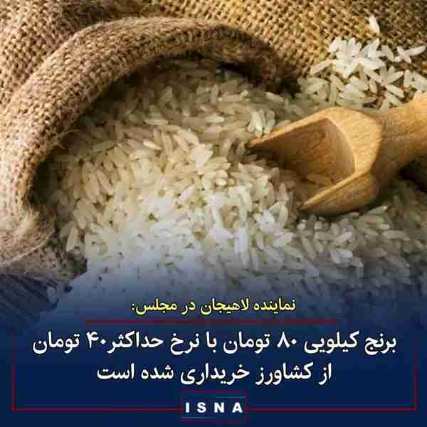 نماینده مردم لاهیجان در مجلس ◾قیمتی که امروز برنج