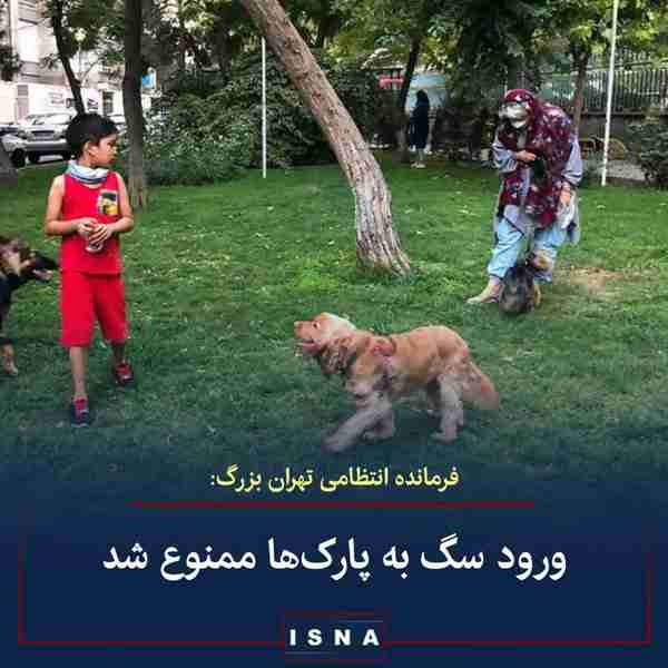 فرمانده انتظامی تهران بزرگ از ممنوعیت ورود سگ‌ها 