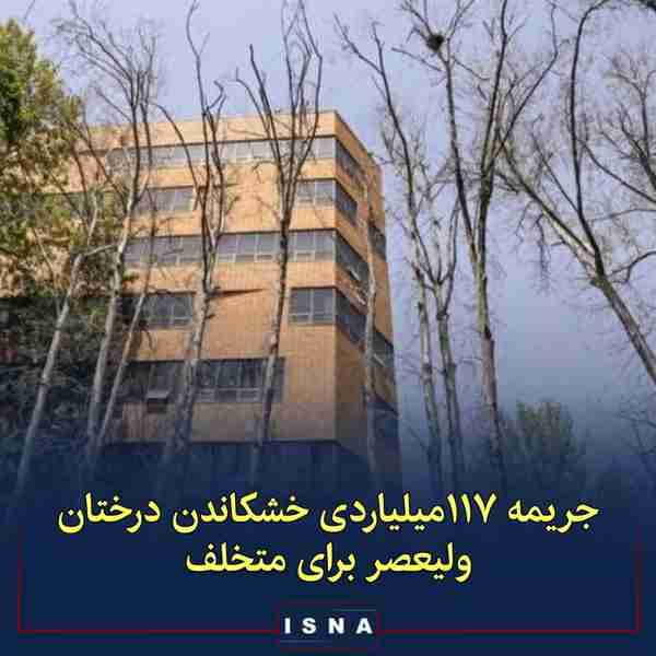 رئیس کمیسیون سلامت شورای شهر تهران در خصوص رسیدگی