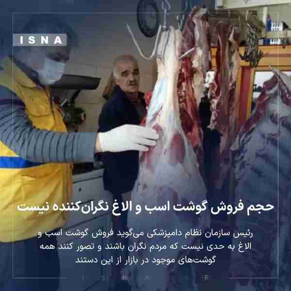 رئیس سازمان نظام دامپزشکی فروش گوشت اسب و الاغ به